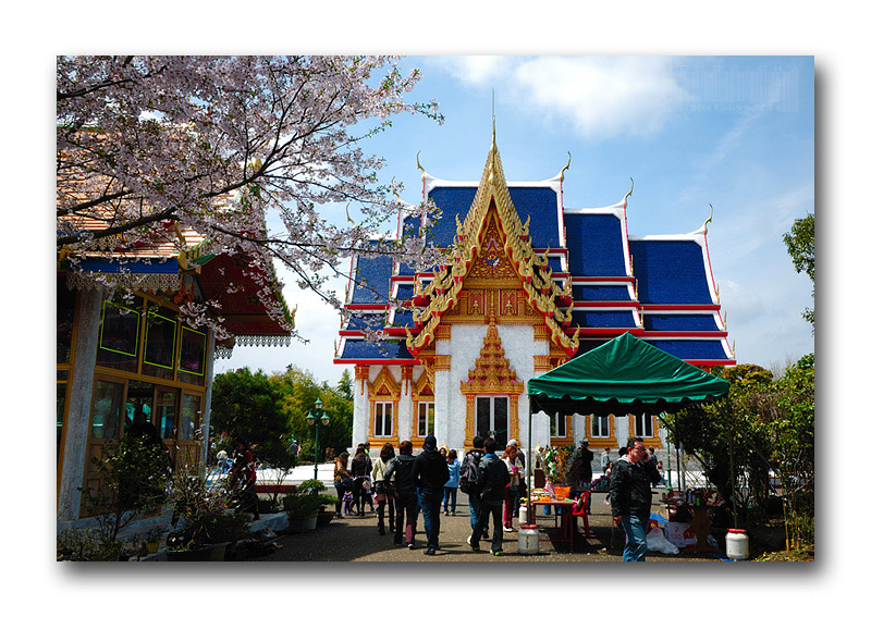 บรรยากาศด้านในดูร่มรื่นบวกกับอุณหภูมิในช่วงเวลานี้กำลังเย็นสบาย  การที่ได้เข้ามาเดินในสถานที่แบบนี้ม