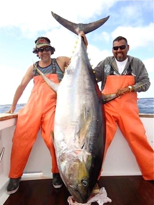 หนุ่มเม็กซิโก ตกปลาทูน่าครีบเหลืองยักษ์ หนักที่สุดในโลก