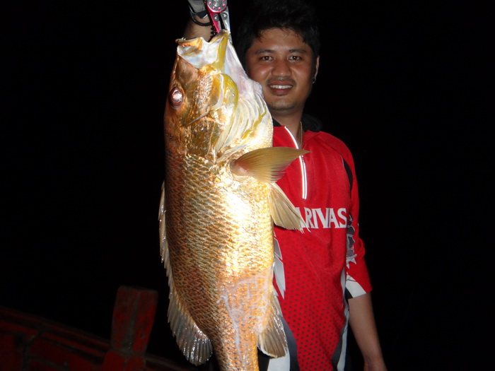  :cheer: :cheer: :cheer: :cheer: :cheer: :cheer: :cheer: :cheer:



              [b]ปลาเนื้อดีข