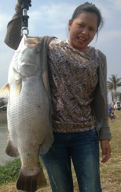 [q][i]อ้างถึง: แมงปอ13 posted: 23-04-2555, 11:44:35[/i]

ยินดีต้อนรับอย่างเป็นทางการเช่นกันจร้า  :