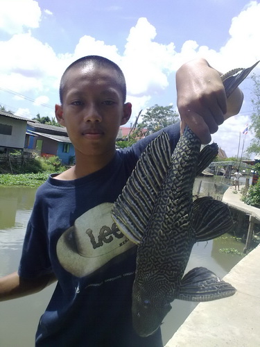  [center]อีกภาพ หัวเองเท่ดีนะ.......
 :cheer: :cheer: :cheer: :cheer: :cheer: :cheer: :cheer: :chee