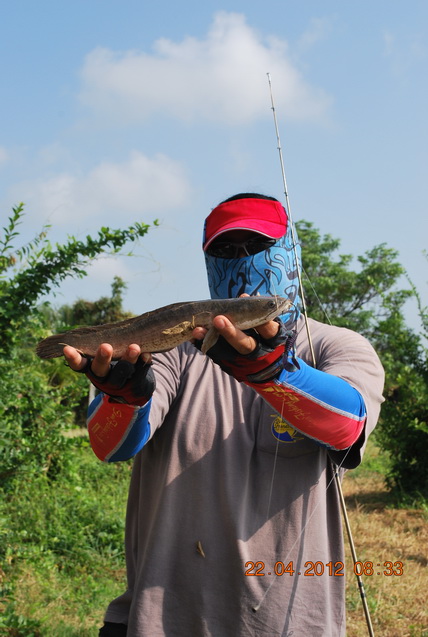 เผลอแปปเดียว ตัวแรกของงานก็มา!!!

น้าเอ๋อ ตกมาด้วยเหยื่อ LAKE FORK ของเขาดีจริงๆ!!!

 :cheer: :c