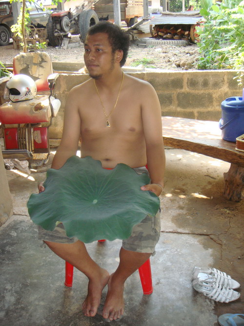 !!! กรรมหนึ่งกรรมใด !!!!  ที่ข้าพเจ้าเคยทำผิดพลาดล่วงเกิน ทั้งกาย....วาจา...ใจ... ทั้งต่อหน้าก็ดี ลั