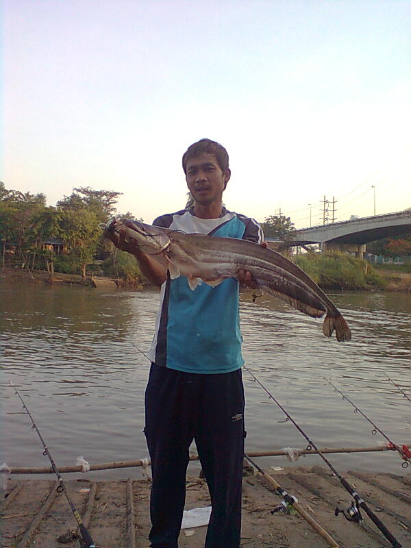 ..... เค้าครับ....