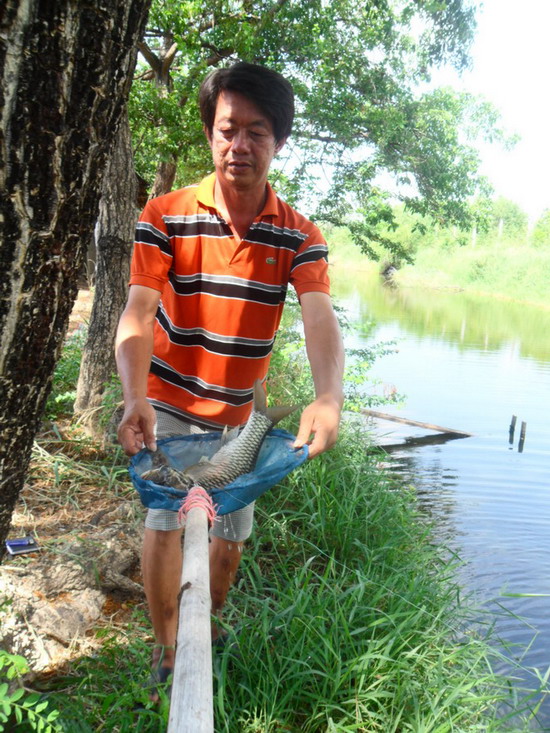 นี่ครับ คุณ อา เจ้าของบ่อมาตักปลาให้เลย ใจดีมากๆครับ 
 :love: :love: :love: :love: