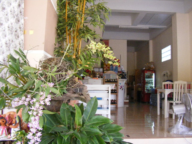 ดูเขาจัดร้านคับ :cheer: :cheer: :cheer: :cheer: :cheer: :cheer: