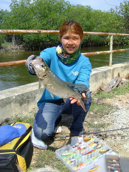 Thailand Tarpon ก่อนไปแก่งกระจาน