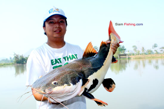 [q][i]อ้างถึง: fishingjoke posted: 26-04-2555, 15:28:35[/i]

+++++ครับ ต