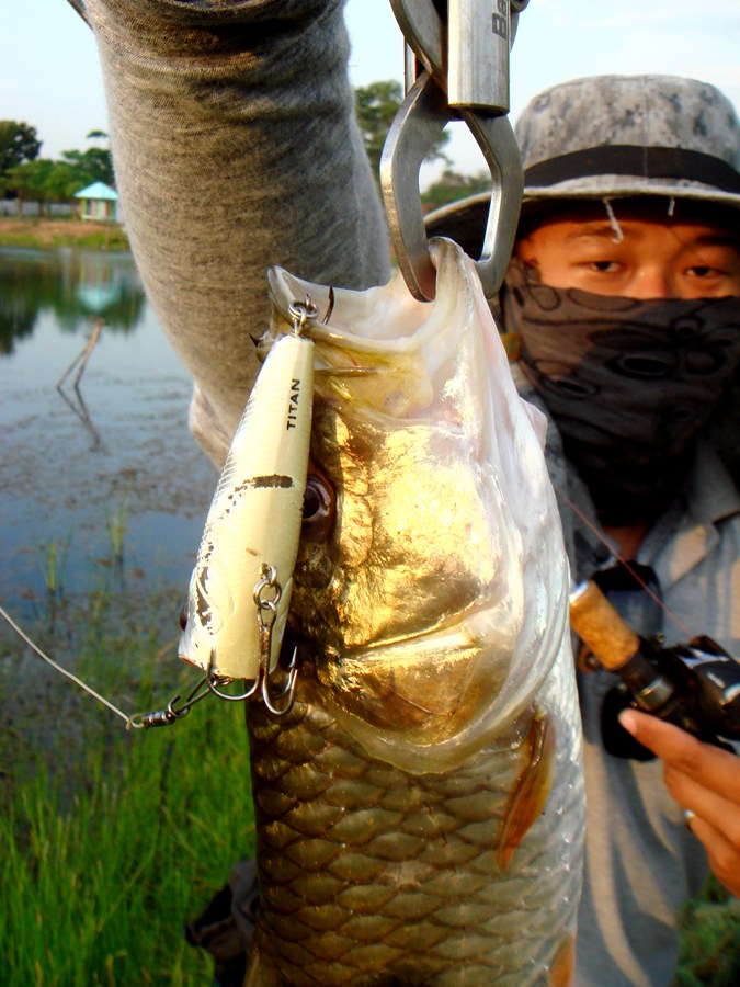 วันนี้ฮอทมากมายครับ  :grin: