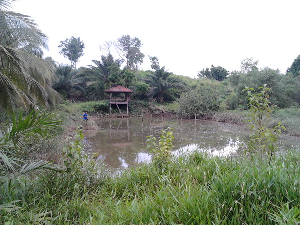 อีกด้านของบ่อครับ..สวยงามมากมายครับ.. :cheer: :cheer: :cheer: :cheer:
