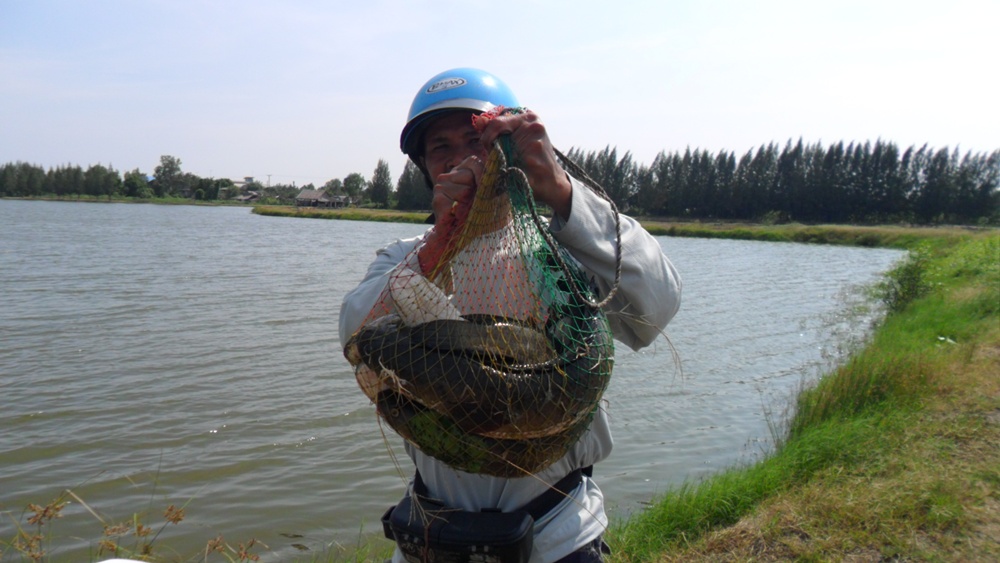 

  ของอึ่งเอาแค่นี้นะ..น้าขวัญ..น้าชาย :smile: :smile: :smile: