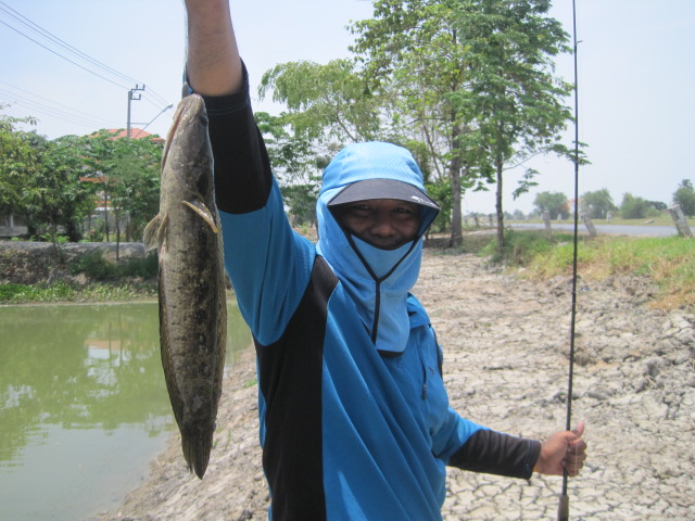 คราวนี้ตาผมบ้าง :grin: :grin: :grin: