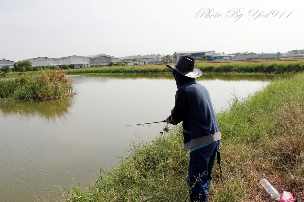 ยาสูบตีไปด้วยกุ้ง กุ้งปลอมนะไม่ใช่กุ้งสด  :laughing: :laughing: :laughing: