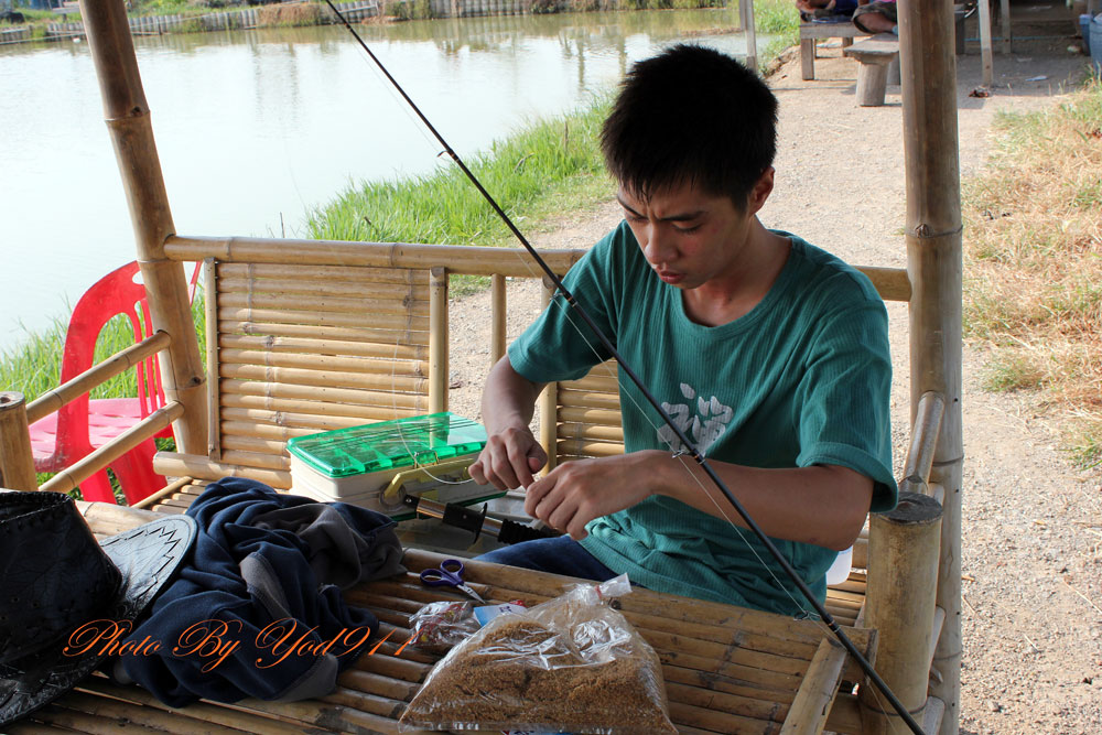 ยาสูบจัดเตรียมมัดเบ็ด