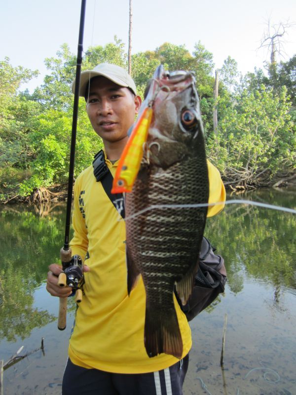  [b]ปลาตัวไม่ใหญ่แต่ถ่ายรูปให้มันใหญ่ แต่ไซส์ไม่ใหญ่นะ  เอะ!! งงดีวุ้ย[/b] :laughing: :laughing: :la