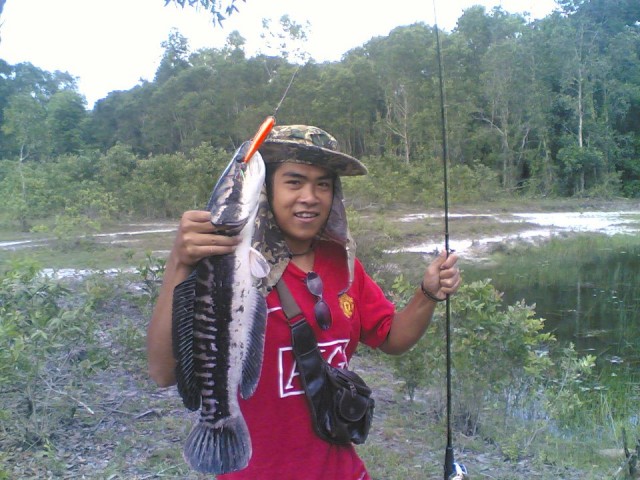 หมานหนัก