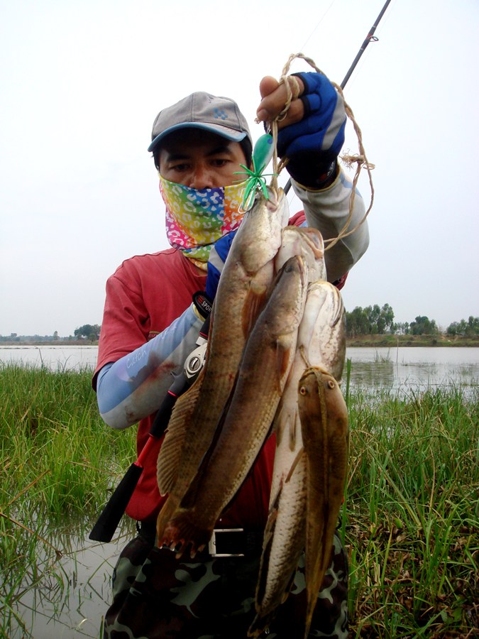 ลากกันไปลากกันมา....ซีดหมดเลย... :love: :cheer: :laughing: :grin: :cheer: