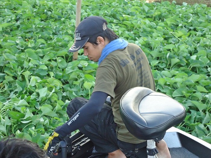 น้ำเริ่มขึ้น..เอ่อ กอผักบุ้งแล้ว ตอนนี้ 