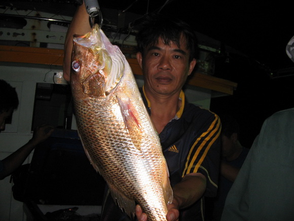 พี่นินได้มาอีกตัวแล้วก็เงียบจึงย้ายหมายใหม่