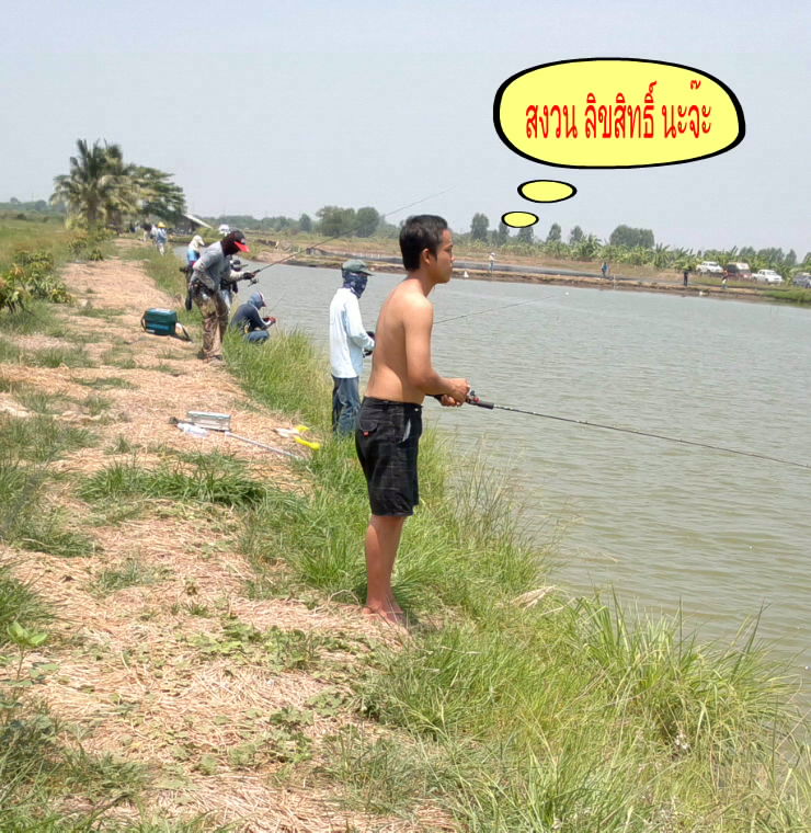 เอามั่งฃอ 3 คำกับ 2รูปนี้นะคร้าบ