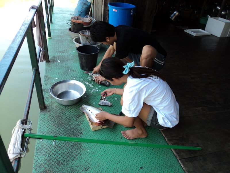 [b][center]จักการทำกินซะ แฟนน้าอาร์ตขยันมากครับ....สมกับที่เป็นแม่ศรีเรือนจริงๆ!! 