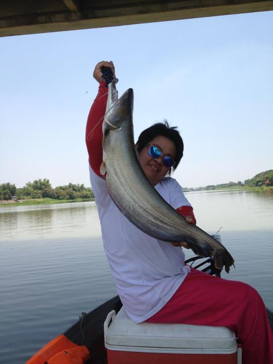 [q][i]อ้างถึง: Sit_Muha posted: 02-05-2555, 12:46:43[/i]

+1 ครับ ต้องหาโอกาศไปบางแล้วเจ้าพระยา :c