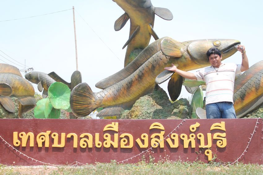 [q][i]อ้างถึง: kongfishing posted: 02-05-2555, 23:54:14[/i]

+1ตามชมคับน้า..เล็ก :cheer: :cheer:[/