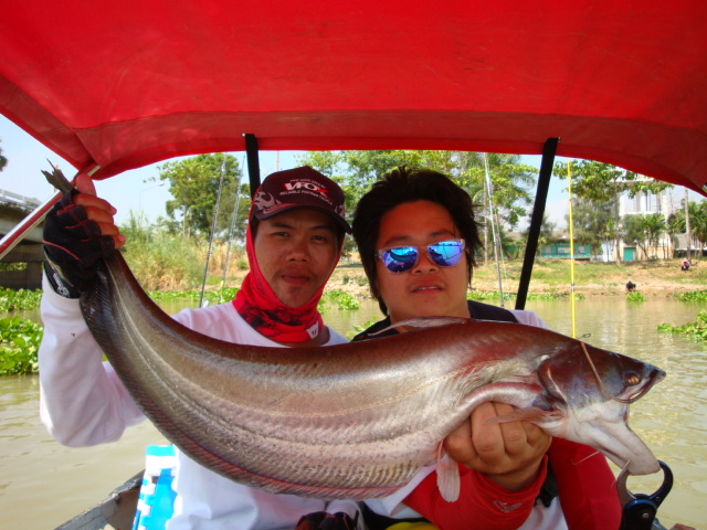 [q][i]อ้างถึง: kokkak_25 posted: 02-05-2555, 13:46:09[/i]

ปลากรายได้ยัง  :grin: :grin: :grin: :gr