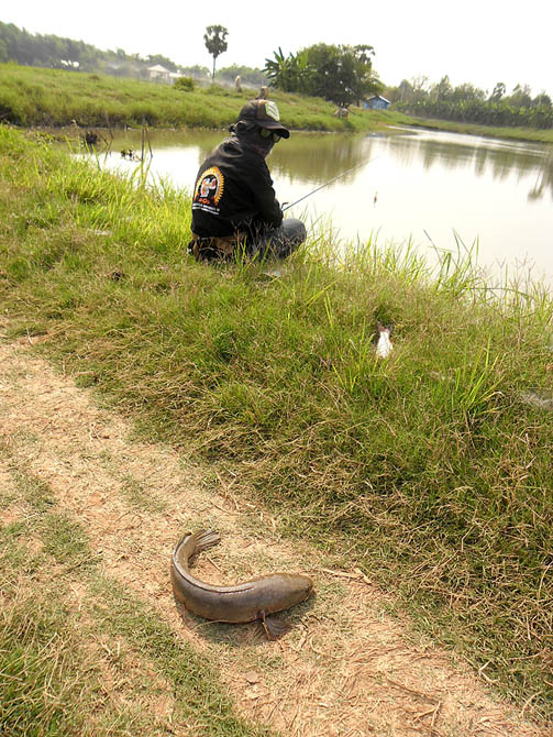 เผลอแปปเดียว ต้นรอด"แห้ว"ซะงั้น  :laughing: