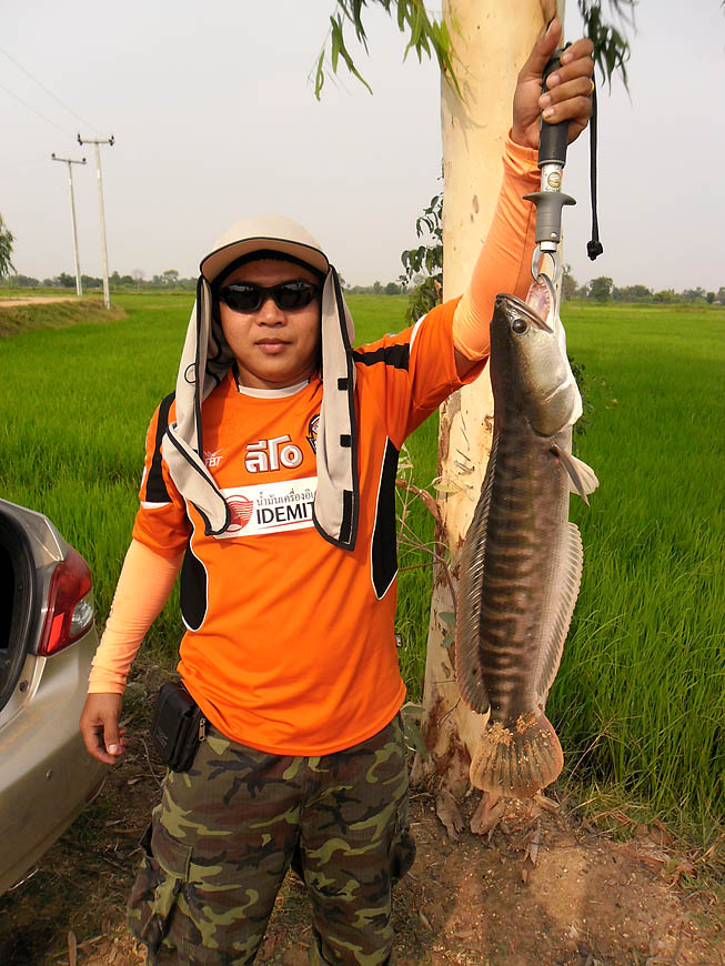 เอา!!!! 1 2 3 แอคชั่น  :laughing: