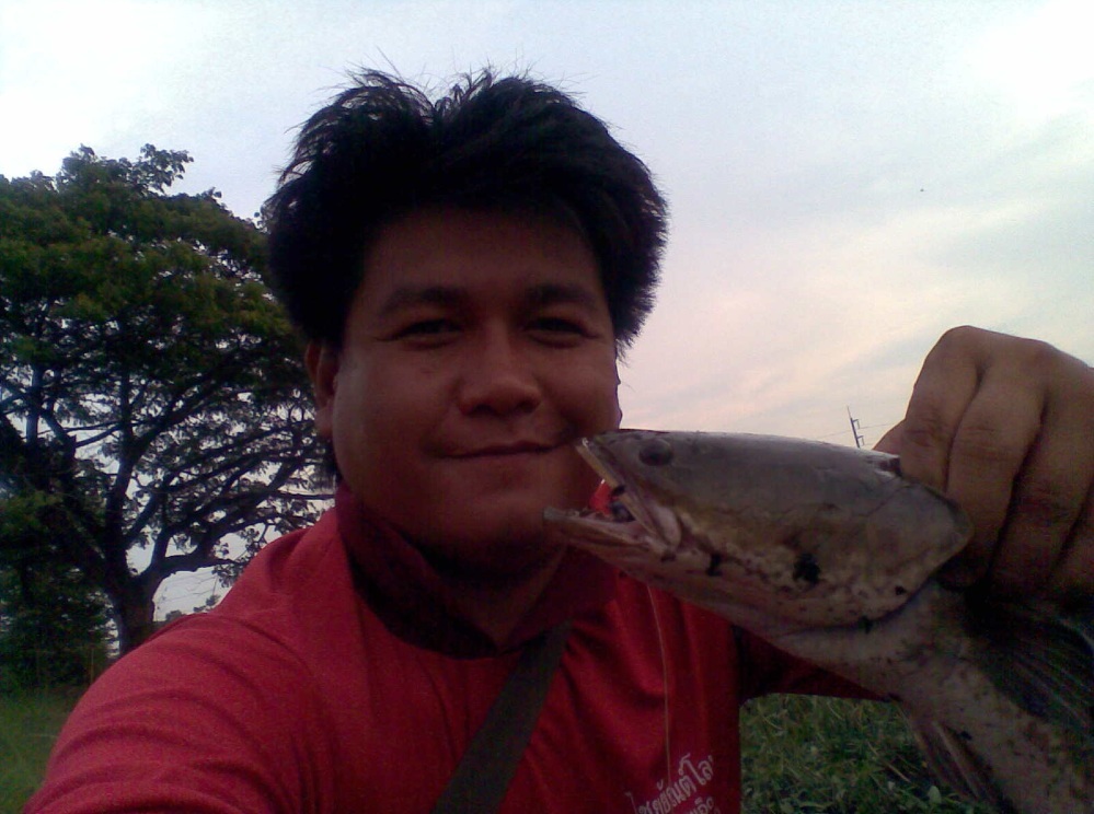  [b]ใครว่ากินปลาแล้วไม่อ้วน   [/b]




 [b]มันไม่กินแต่ปลา   นะซี้      บวมเอ๊า    บวมเอา     ไ