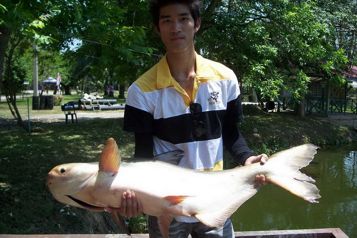 สุดท้ายต้องขอขอบคุณน้าๆๆทุกท่านที่ติดตามคะ ผิดพลาดประการใดต้องขออภัยด้วยคะมือใหม่หัดโพสต์คะ
 :blush