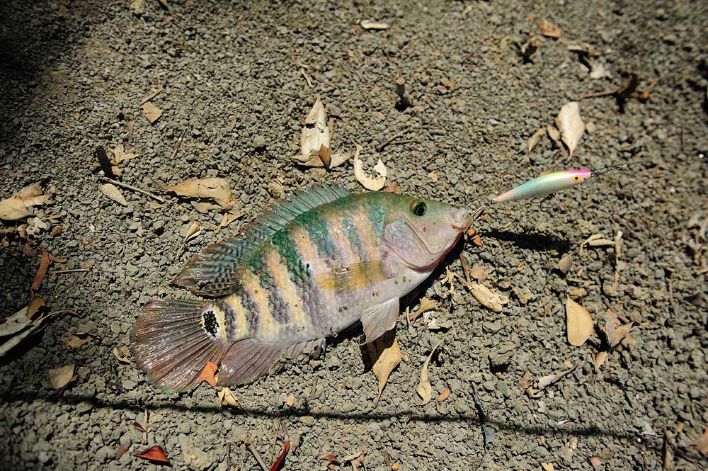 โด่เอ้ยอีหมอสีอีกละ :laughing: :laughing: