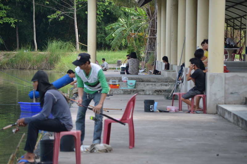 มีพวกร่วมอุดมการณ์แล้วนั่งปิดหน้าอยู่...ปิ๋วแหงมๆ :grin: :grin: :grin: