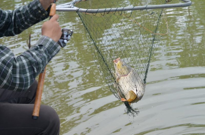 ช้อน...มา :cool: :cool: