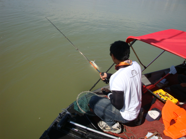 [q][i]อ้างถึง: โต๊ดซะงั้น!+_+! posted: 02-05-2555, 19:12:34[/i]



น้าไข่เค้าชอบกระพงทอดน้ำปลาพี