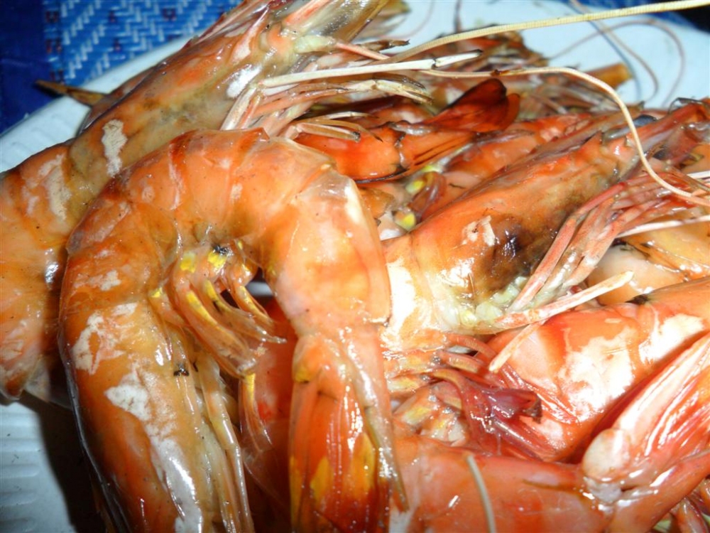 กุ้งตัวหย่ายๆๆ    :grin: