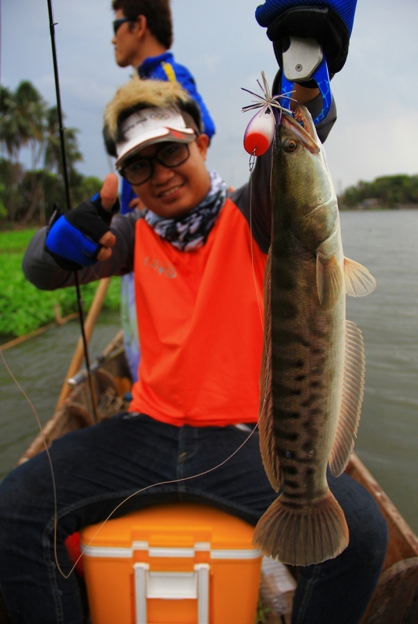 [q][i]อ้างถึง: aekphat2012 posted: 04-05-2555, 13:26:50[/i]

 :grin: :grin: :kiss: :kiss: :music:อ