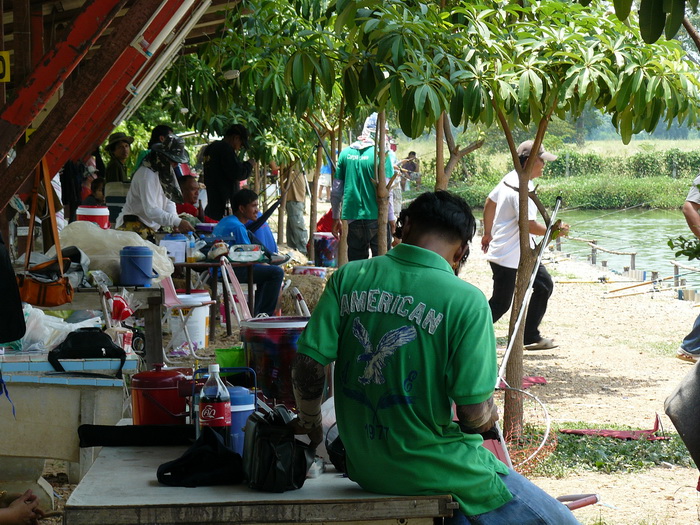 หลบแดดกันเป็นแถว....ก้อมันร้อนอ่ะ :flag: :frown: :grin: :grin: