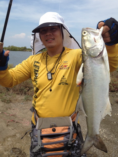 ทริปต่อมากับกุเรา 1.2 kg. กัดป๊อป 9 เคาะบุ๋งๆมาเรื่อยๆสลับกับหยุด ตู้มมมม!!!! อัดอยู่สักพักทำไมมันไม