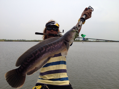 มาปุ๊ปไม่พูดไม่จาเลยครับจั่วมาก่อนเลยกับ owen bait :grin: