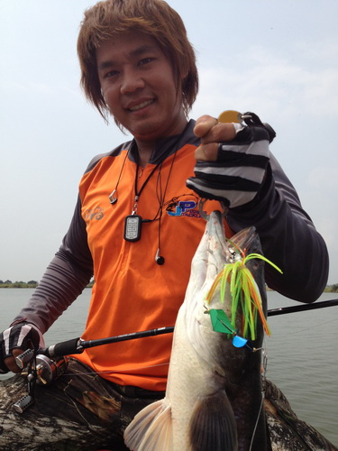 ดูกันชัดๆ :grin: