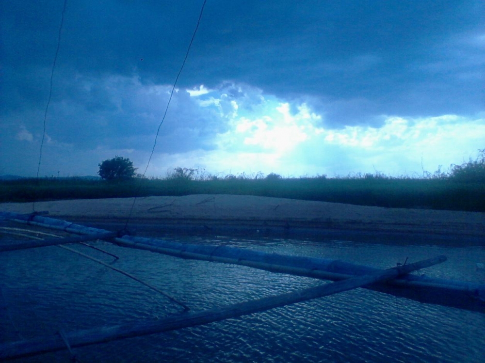 สี่โมงฝนก้อเริ่มตก...มืดฟ้ามัวดินคับงานนี้จะแห้วรึเปล่า :spineyes: :spineyes: :spineyes: :spineyes: