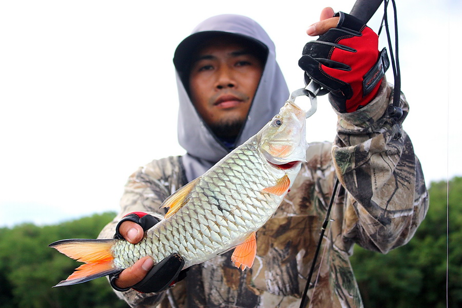 [q][i]อ้างถึง: fishingjoke posted: 07-05-2555, 09:31:06[/i]

++++++ครับ :cheer: :cheer: :cheer: :c