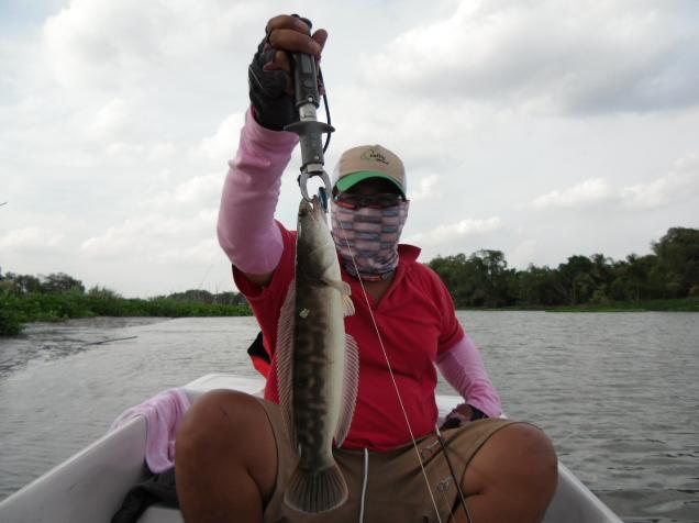 ชะโดกัดL minnow คับผม :cheer: :cheer: :cheer: :cheer: :cheer: :cheer: :cheer: :cheer: :cheer: :cheer