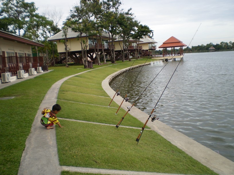 ปลาก็เงียบจริงๆแต่ขึ้นเล่นน้ำดีมาก :grin: