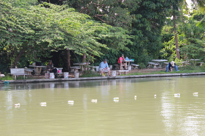 ตาหรั่งหนีไปหลบแดด   :cheer: :cheer: :cheer: