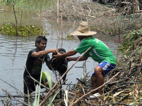 บางตัวต้องหอบขึ้นครับ กลัวหลุด อิอิ