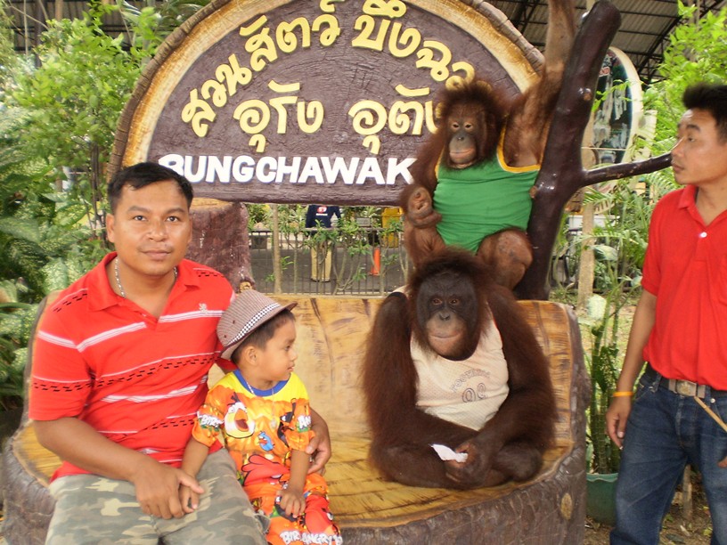 อุรังอุตังน่ารักมาก :grin: :grin: