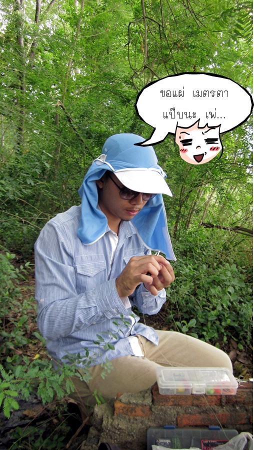 ส่วนเดียว สึกได้ ไม่ถึงอาทิตย์  ขอแผ่เมตรตาแป๊บ  :laughing: